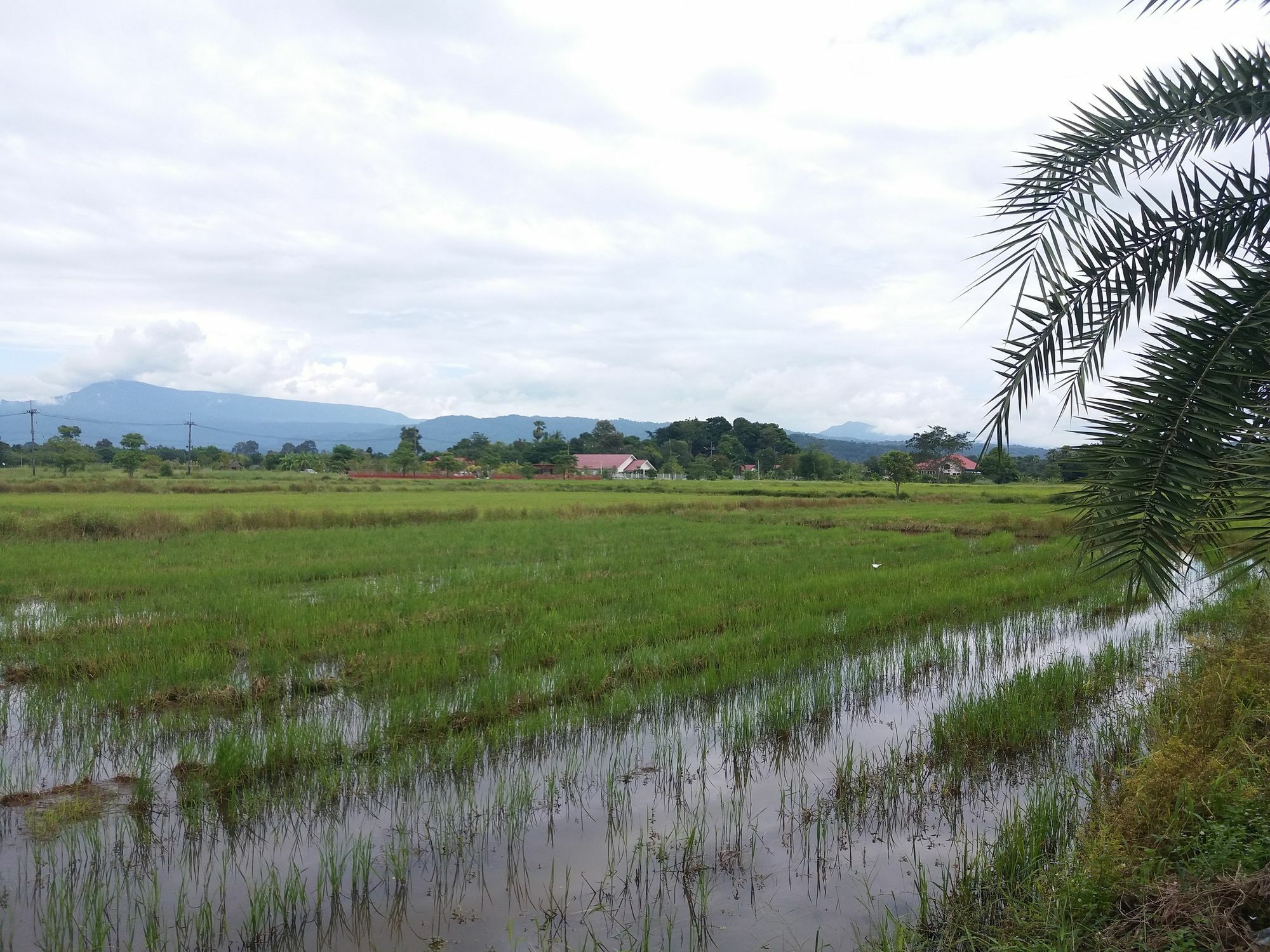 Preecha Resort Nakhon Nayok Exterior photo